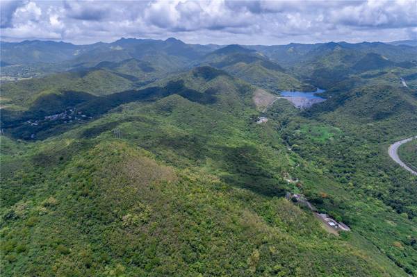 CARR 503, Ponce, PR 00715