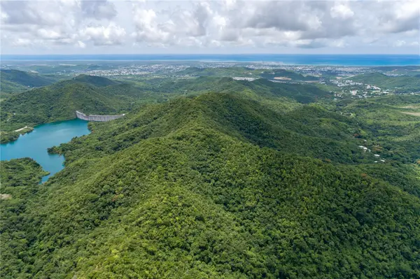 CARR 503, Ponce, PR 00715