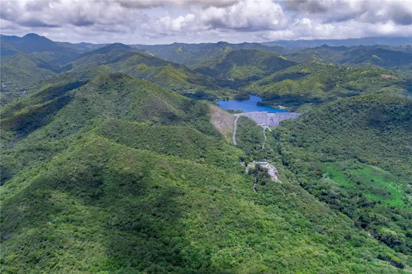 CARR 503, Ponce, PR 00715