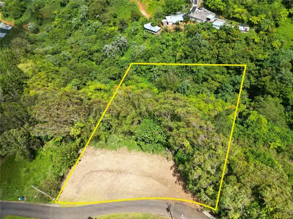 St. 809 CEDRO ARRIBA SECTOR SANTA TERESITA II #2, Naranjito, PR 00719