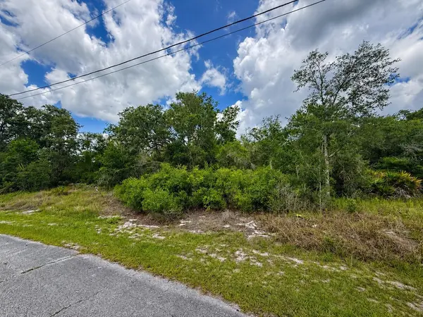 1334 TALLAHASSEE CT, Poinciana, FL 34759