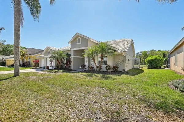 954 COBBLESTONE LN, Tarpon Springs, FL 34688