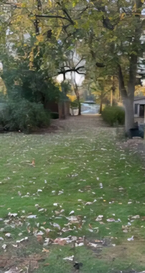 Lots 10 & 11 Grove LN, Cary, IL 60013