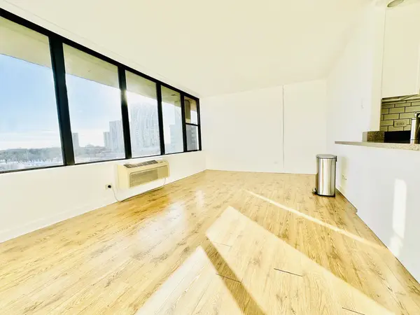 345 E Eastgate PL #604, Chicago, IL 60616
