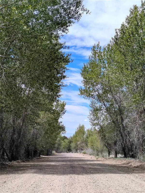 3825 Virtue WAY, Crestone, CO 81131