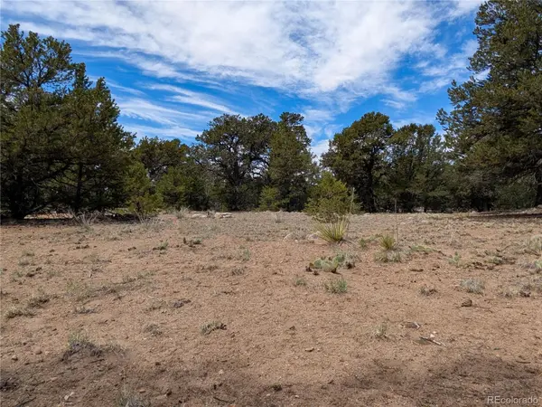 3825 Virtue WAY, Crestone, CO 81131