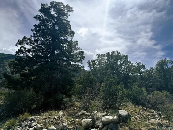 421 Lake Of The Falls Pkwy, Mosca, CO 81146
