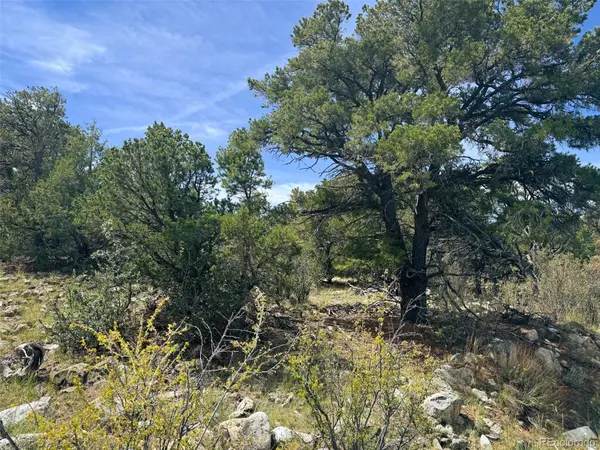 421 Lake Of The Falls Pkwy, Mosca, CO 81146