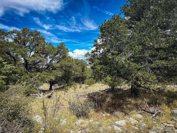 33 Stage Station CIR, Mosca, CO 81146