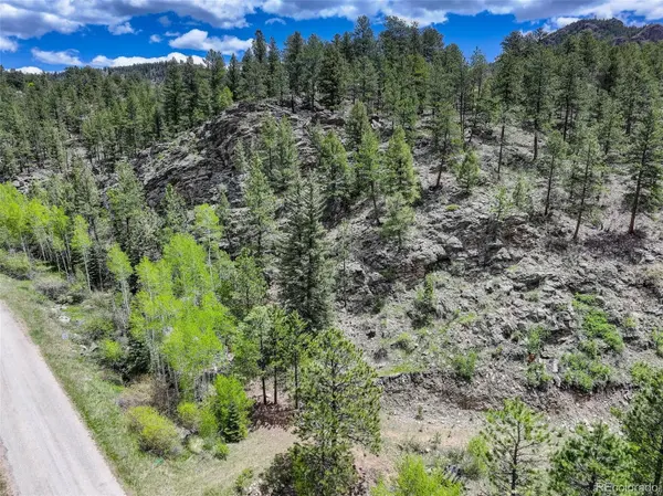 400 Crow Valley RD, Bailey, CO 80421