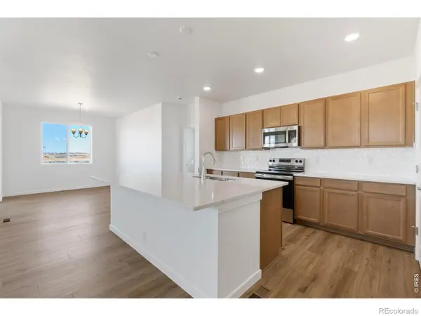 1454 Boyle ST, Windsor, CO 80550