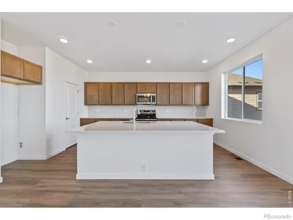 1448 Boyle ST, Windsor, CO 80550