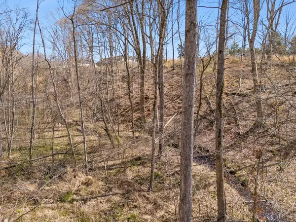 635 Cane Creek Rd, Hohenwald, TN 38462