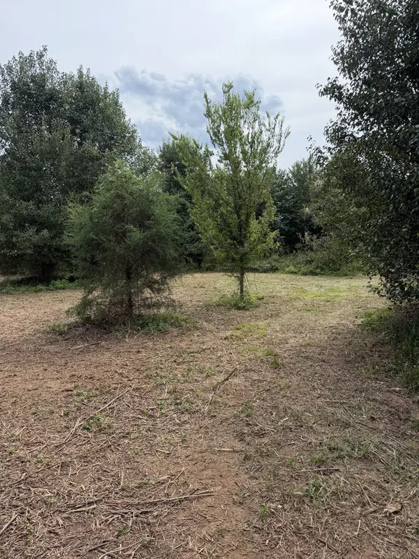 0 Highway 11 #S, Riceville, TN 37370
