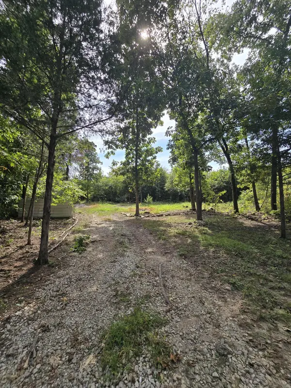 1899 Cedar Gap Central LN, Seymour, MO 65746