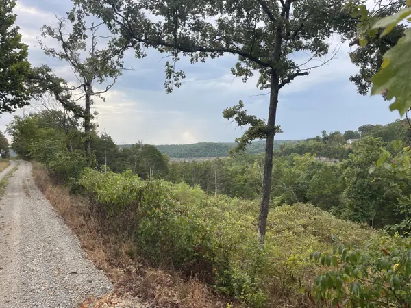 000 Fernwood DR, Theodosia, MO 65761