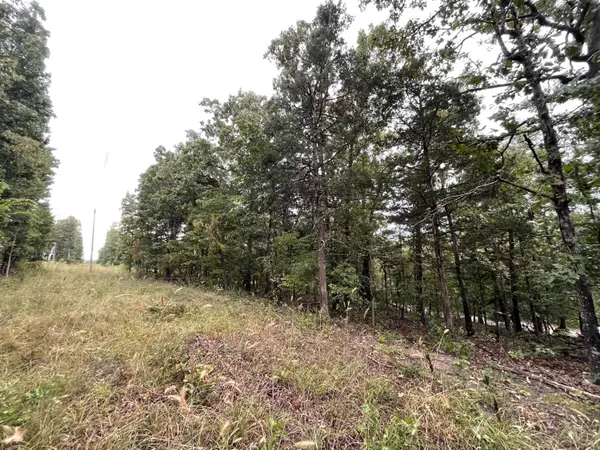 000 Fernwood DR, Theodosia, MO 65761