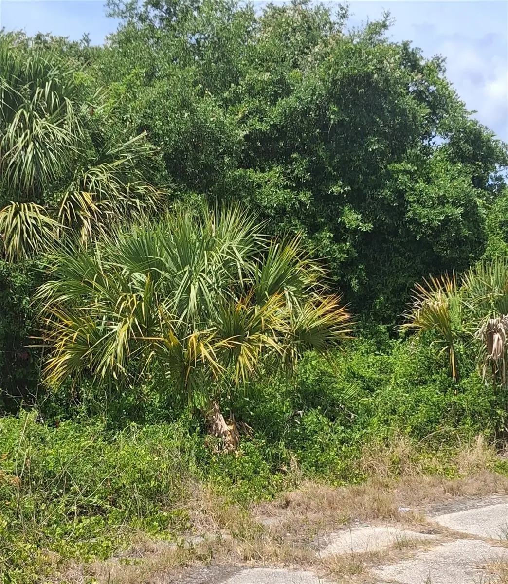 N HOLLOWAY AVE, North Port, FL 34288