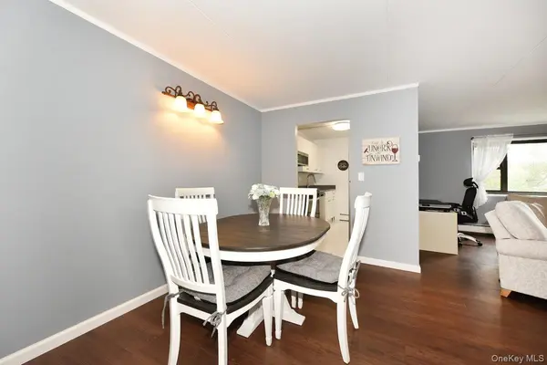 100 Clinton AVE #4N, Mineola, NY 11501