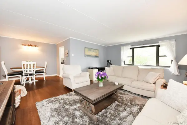 100 Clinton AVE #4N, Mineola, NY 11501