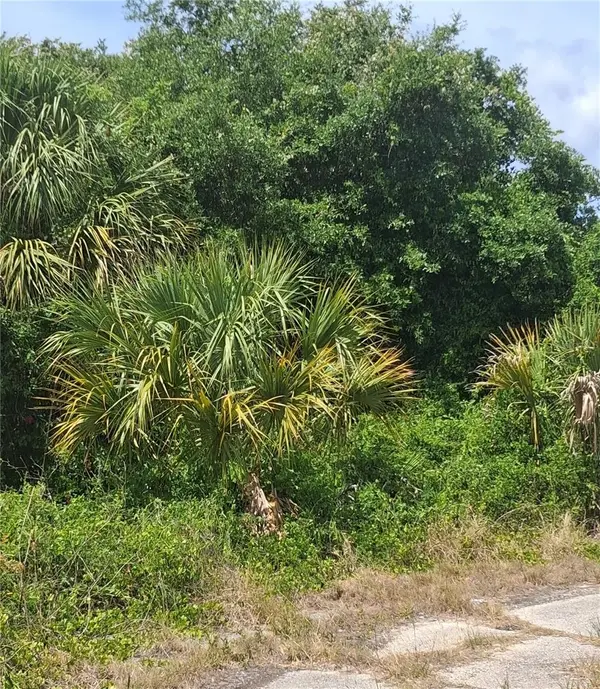 N HOLLOWAY AVE, North Port, FL 34288