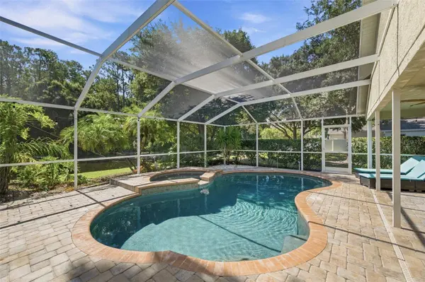 13108 ROYAL GEORGE AVE, Odessa, FL 33556