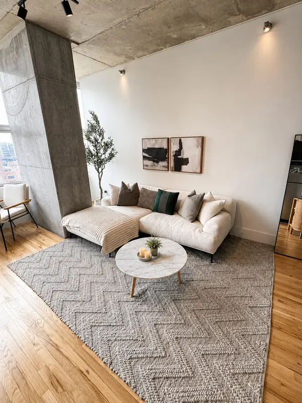 1720 S Michigan AVE #1207, Chicago, IL 60616