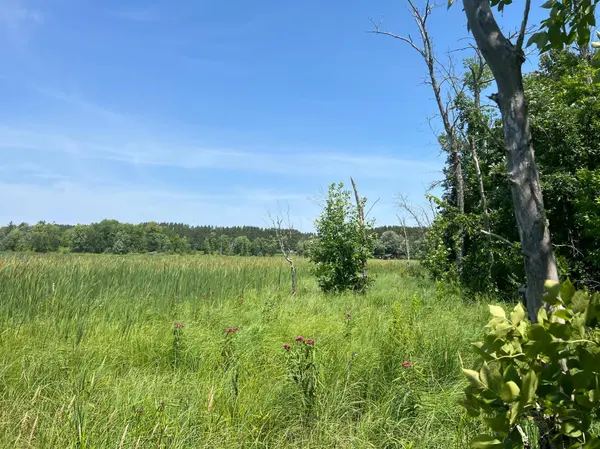 59112 412th PL, Swatara, MN 55785