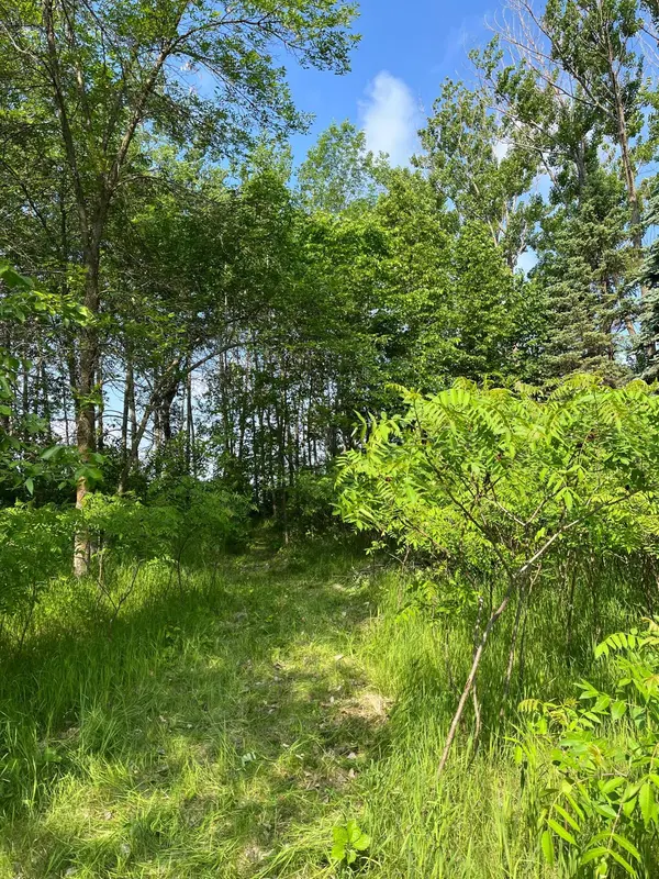 TBD Wild Rose Trail, Frazee, MN 56544