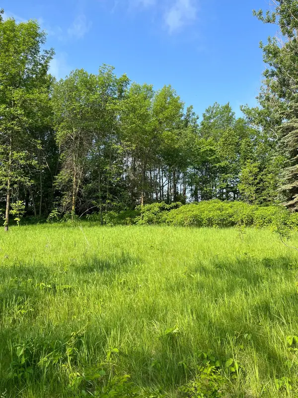 TBD Wild Rose Trail, Frazee, MN 56544
