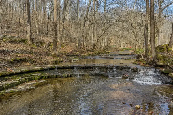 7575 King Rd, Fairview, TN 37062
