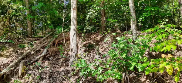 0 Tate Drive, Buchanan, TN 38222