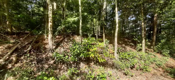 0 Tate Drive, Buchanan, TN 38222