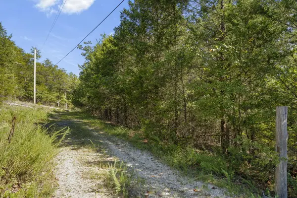 Lots 10&11 Pomme De Terre RD, Branson, MO 65616