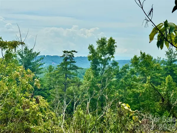 1.46 acres, Lot 48 Tomahawk Ridge DR #Lot 48, Lenoir, NC 28645