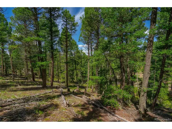 384 Insmont, Florissant, CO 80816