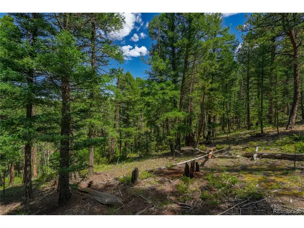 384 Insmont, Florissant, CO 80816