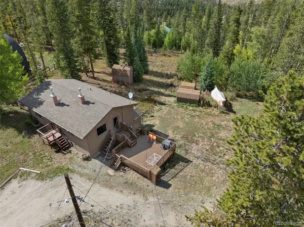 599 American WAY, Breckenridge, CO 80424