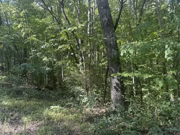 12 Skyline Dr, Smithville, TN 37166