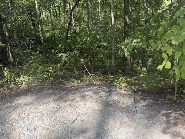 12 Skyline Dr, Smithville, TN 37166
