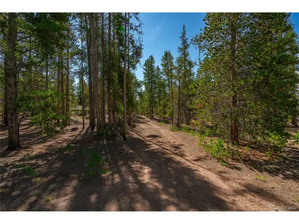 589 Augusta, Leadville, CO 80461