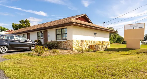 915 E ALFRED ST, Tavares, FL 32778