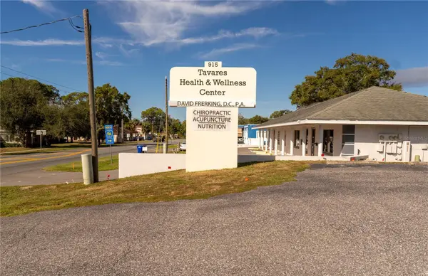 915 E ALFRED ST, Tavares, FL 32778