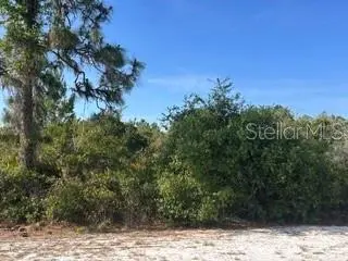713 (BLK 123 LOTS 15&16) CAMELLIA DR, Indian Lake Estates, FL 33855