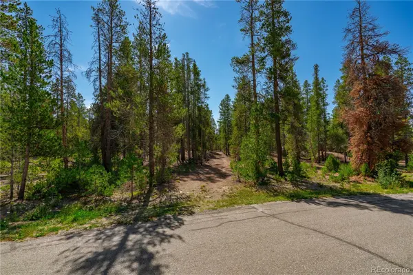 589 & 611 Augusta DR, Leadville, CO 80461