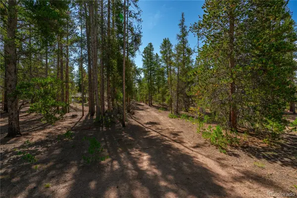 589 & 611 Augusta DR, Leadville, CO 80461