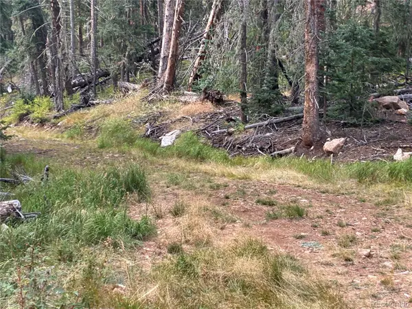 9AC Clinton RD, San Luis, CO 81152