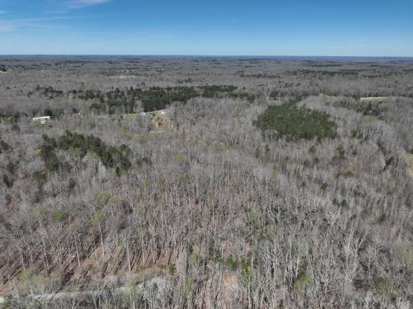255 War Eagle Drive, Cedar Grove, TN 38321