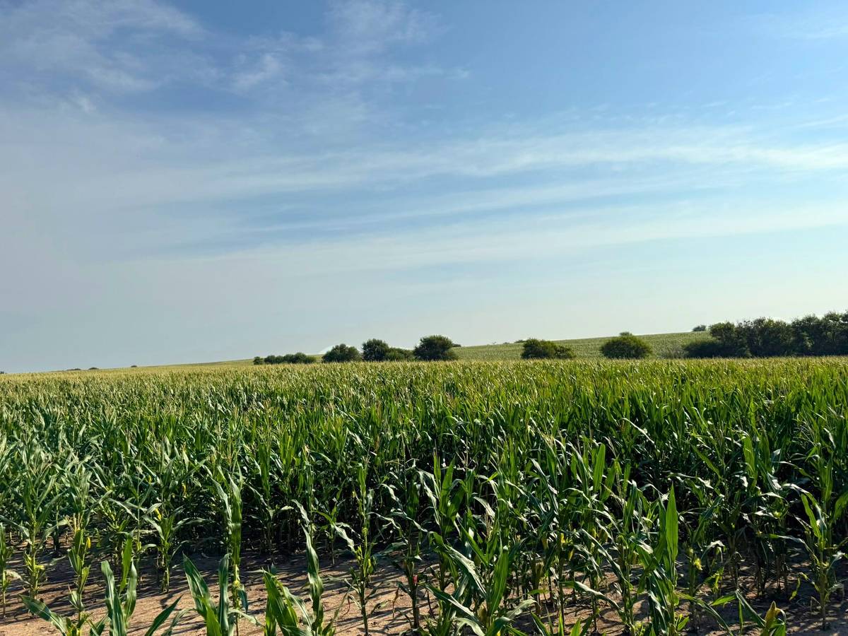 00000 Windmill Road, Ada, KS 67467