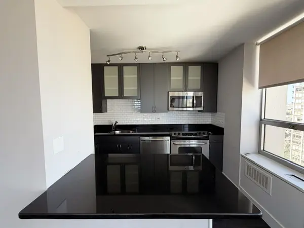 70 W Burton PL #2401, Chicago, IL 60610